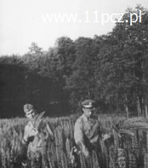 Łubiny z poligonu zbierają ppor. Tadeusz Bazydło i por. Jan Jańczyk